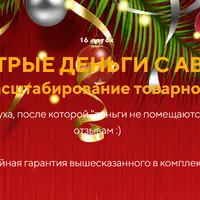 Быстрые деньги с авито. Запуск и масштабирование товарного бизнеса