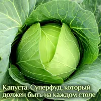 Капуста: суперфуд, который должен быть на каждом столе
