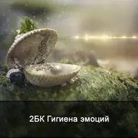 Гигиена эмоций. Техника эмоциональной медитации