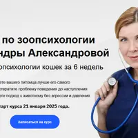 Зоопсихология кошек