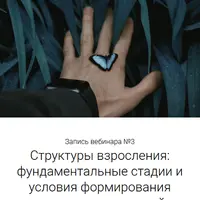 Интегральное сознавание. Вебинар 3: Структуры взросления, фундаментальные стадии