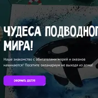 Чудеса подводного мира