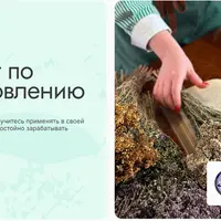 Специалист по фитооздоровлению