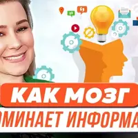 Как мозг запоминает информацию