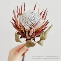 Практикум по аутентичным отношениям