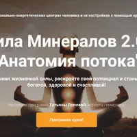 Сила Минералов 2.0. Анатомия потока