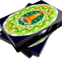 Практики Прощения