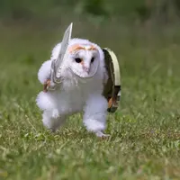 Авитолог 2025