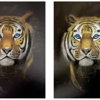 Реалистичные животные пастелью