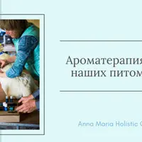 Ароматерапия для наших питомцев