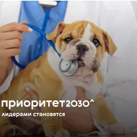 Ветеринарная диетология мелких домашних животных (базовый уровень)