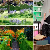 Видение. Урок 3. Захват внимания. Центр композиции