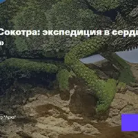 Сокотра: экспедиция в сердце острова драконьей крови