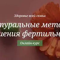 Натуральные методы улучшения фертильности