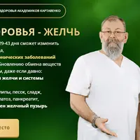 Ядро здоровья - желчь
