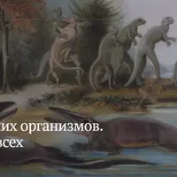 Тайны древних организмов. Палеонтология для всех