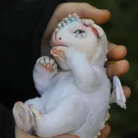 Новорожденный дракончик