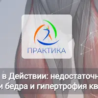 Анатомические поезда в действии: недостаточная активность задней поверхности бедра и гипертрофия квадрицепса