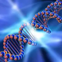 Биохимия мужского здоровья