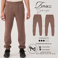 Джоггеры Брикс