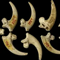 Древнейшие украшения, орнаментированные изделия, статуэтки, изображения в пещерах и музыкальные инструменты в Евразии. Часть 1