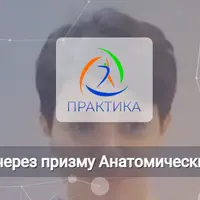 Походка через призму Анатомических поездов