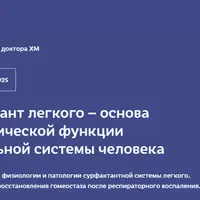 Сурфактант легкого – основа метаболической функции дыхательной системы человека