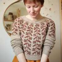 Красивый жаккардовый пуловер Pictus