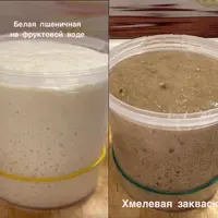 Курс по выведению заквасок