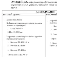 Руководство по нейромедиаторам