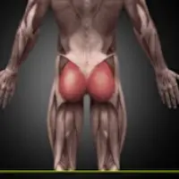 Тренировка при плоских ягодицах и сглаженном поясничном лордозе. Ягодицы в паттерне шага