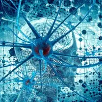 Введение в когнитивную нейронауку. Лекция 8. Нарушения функционирования мозга