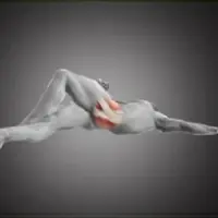 Мышцы тазового дна: прогрессия, сила, движение костей таза и связь со стопой