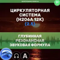 Циркуляторная Система 3.0