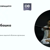 Железная рубашка. Продвинутый уровень