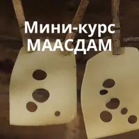Маасдам