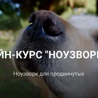Ноузворк Pro