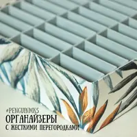 Органайзеры с жесткими перегородками