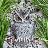 Закрытый клуб Больше, чем плетение: Сова-ключница