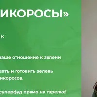 Зелень и дикоросы