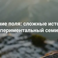Чтение поля: сложные истории. Экспериментальный семинар 2