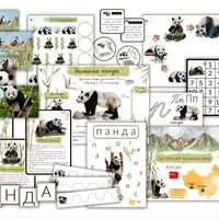 Проект Большая панда