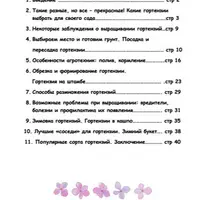 Гортензия - принцесса моего сада