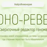 Хроно-реверс