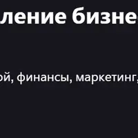CEO: Эффективное управление бизнесом, командой и стратегией