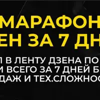 Дзен за 7 дней