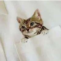 Посади кота в карман