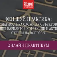 Фен шуй практика: диагностика сложных объектов, коррекция и активизации