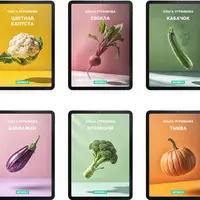 6 летних сезонных овощных сборников