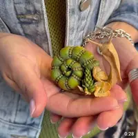 Марафон выходного дня. Сезон 35. Улитка